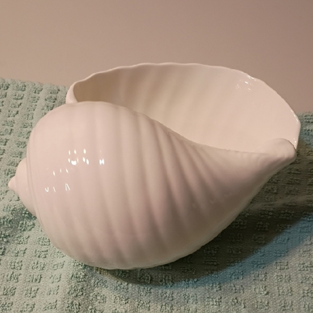 Wedgwood Nautilus Collection SeaShell Bone China England Seashore Beach Summer - Picture 2 of 7